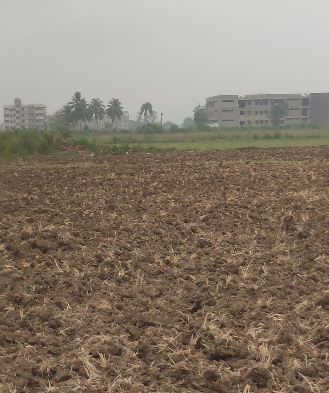 Agricultural Land